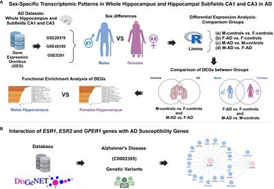 Transcriptomic analysis reveals sex-specific patterns in the hippocampus in Alzheimer’s disease